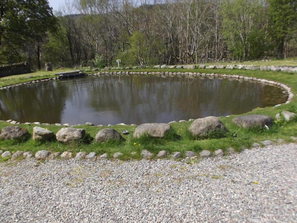 Cosy Ground Floor Disabled Friendly Room In Farm House Llandderfel 외부 사진