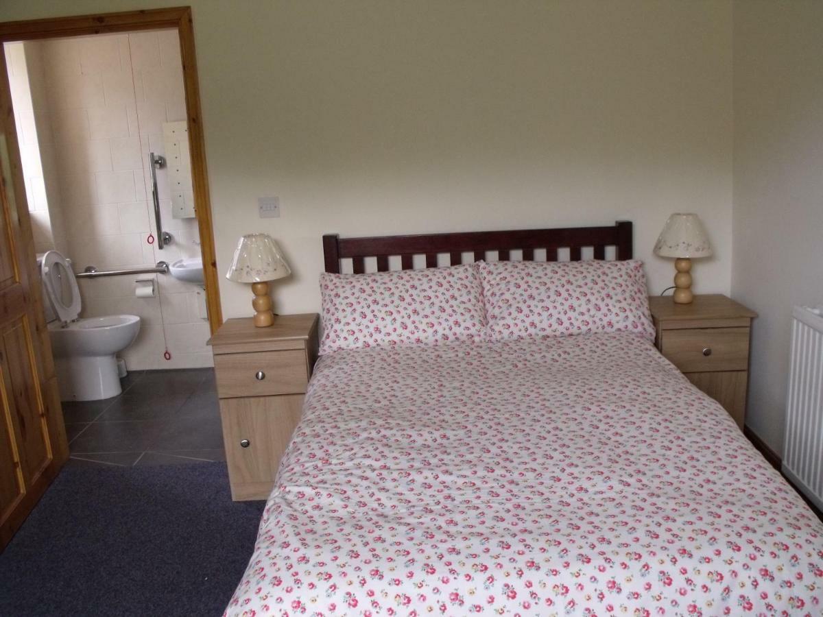 Cosy Ground Floor Disabled Friendly Room In Farm House Llandderfel 외부 사진