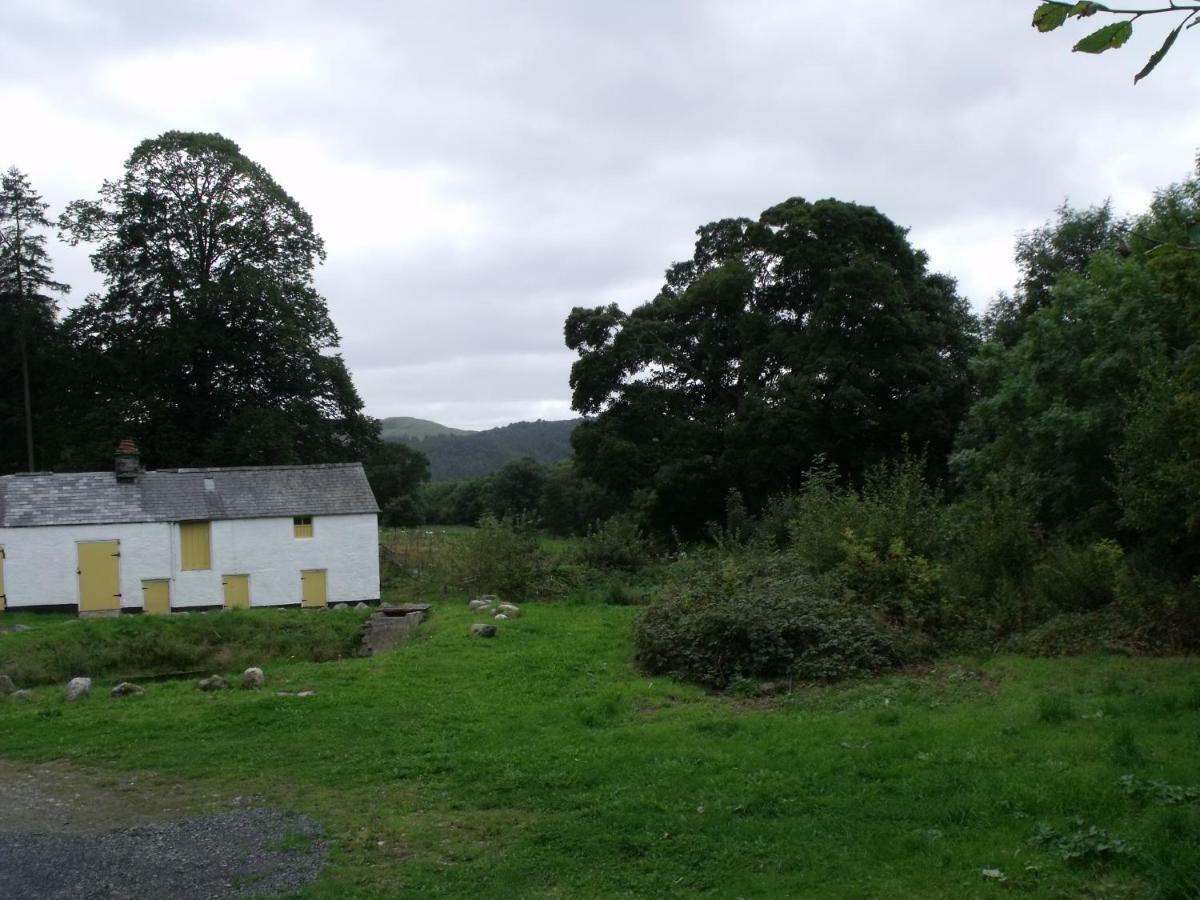 Cosy Ground Floor Disabled Friendly Room In Farm House Llandderfel 외부 사진