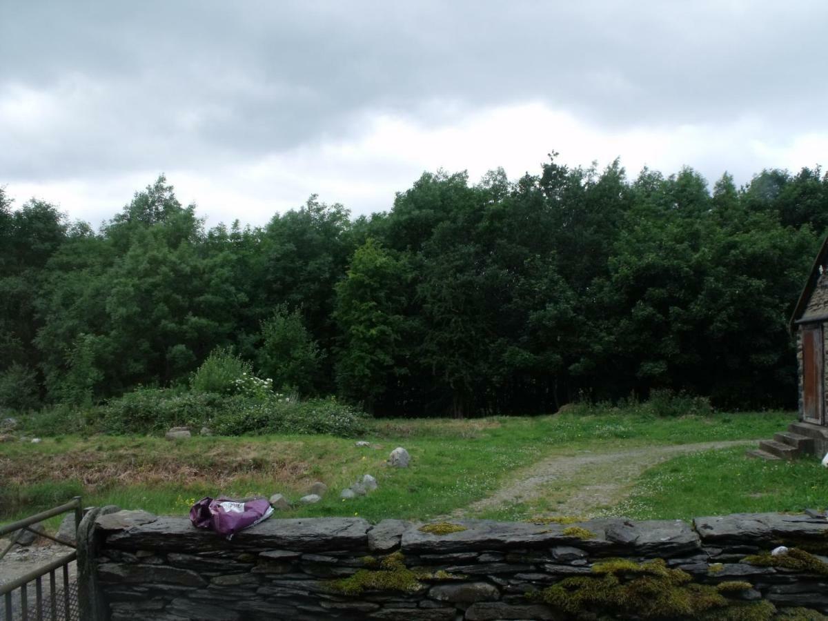 Cosy Ground Floor Disabled Friendly Room In Farm House Llandderfel 외부 사진