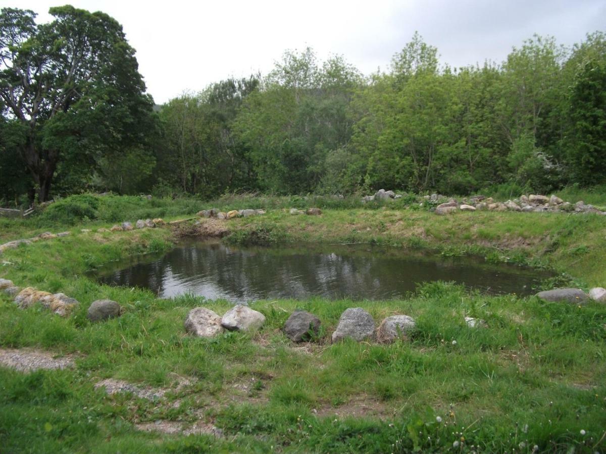 Cosy Ground Floor Disabled Friendly Room In Farm House Llandderfel 외부 사진